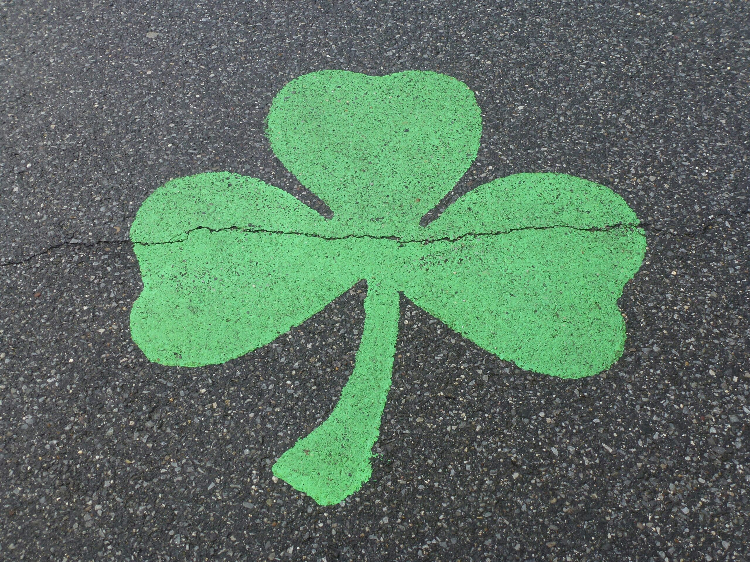 Irish shamrock painted on pavement.