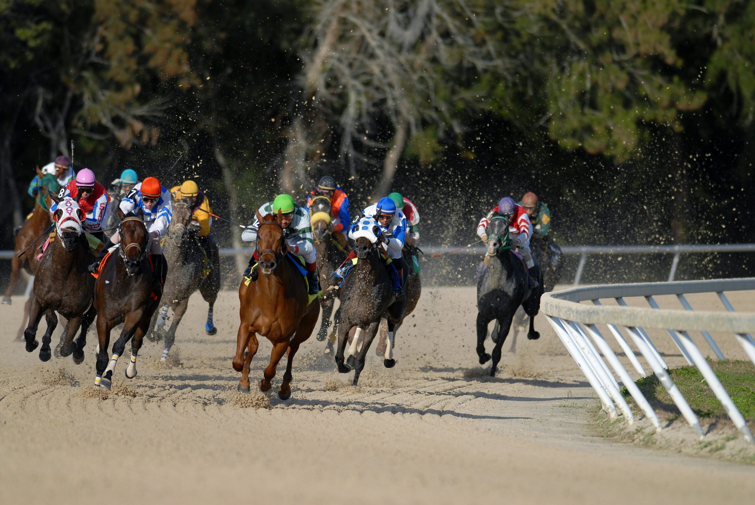 Horse race in progress.